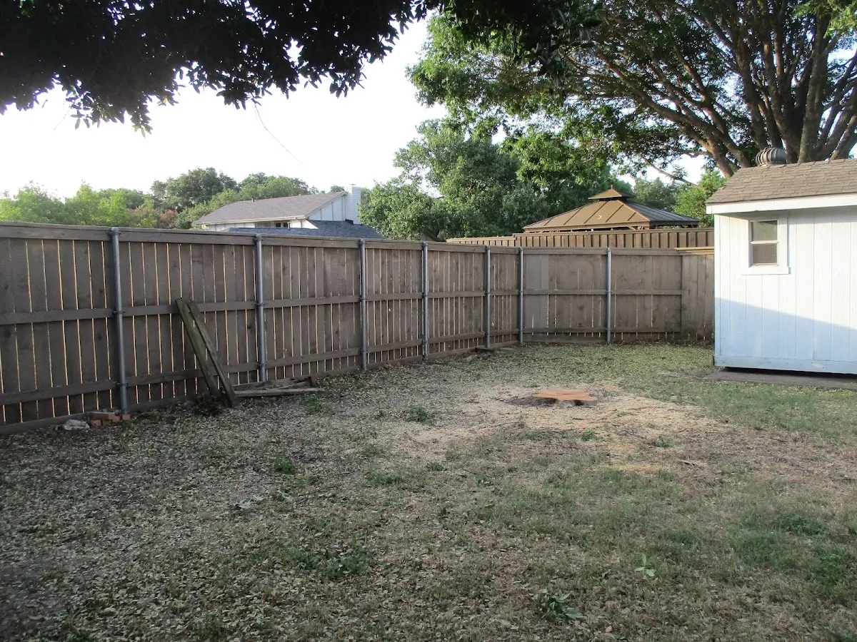 Cleared yard after professional tree removal in West Falmouth