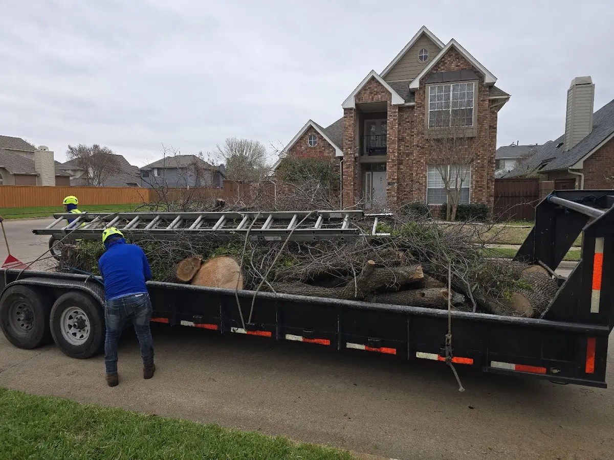 Expert Tree Pest Control with proper safety equipment in West Falmouth